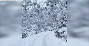 Tasmania zasypana śniegiem. Mroźne powietrze z Antarktydy dotarło do Australii