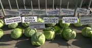 Protestujący rolnicy ułożyli przed Sejmem 356 główek kapusty