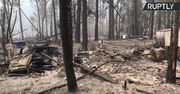 Całe miasteczko spalone w wyniku pożarów lasów w Oregonie
