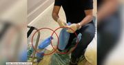 Ślady nowiczoka odnalezione w pokoju hotelowym A. Nawalnego w Tomsku