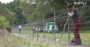Niemcy budują stałe ogrodzenie na granicy z Polską w obawie przed afrykańskim pomorem świń