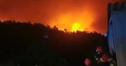 Pożary lasów w Portugalii. Zginął strażak, służby wydały ostrzeżenia