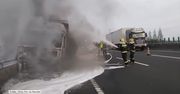 Pożar ciężarówki przewożącej świnie na autostradzie w Chinach. Uratowano jedno zwierzę