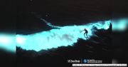 Surferzy pływali po świecących falach na kalifornijskim wybrzeżu