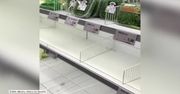 Puste półki w sklepie w Mediolanie. Mieszkańcy wykupują żywność w obawie przed epidemią koronawirusa