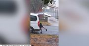 Zalane ulice nie są dla niej żadną przeszkodą. Australijska listonoszka roznosi listy brodząc w wodzie po kostki
