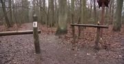 Zarzekali się, że tym razem to nie ich psy zaatakowały człowieka. Prokuratura ma inne zdanie