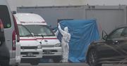 USA ewakuują swoich obywateli ze statku wycieczkowego Diamond Princess. Liczba zakażonych koronawirusem wzrosła do 355