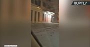 Setki martwych ptaków na ulicach Rzymu. Skutki noworocznych fajerwerków