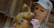 Zwierzaki raczą się lodowymi przysmakami w australijskim zoo. Ma to im pomóc przetrwać falę upałów