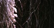 Tężnia i grota solna w szkole w Sosnowcu. Jak powstały?