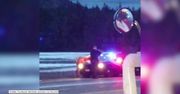 Jeleń uparty jak osioł. Zablokował ruch na autostradzie w Idaho
