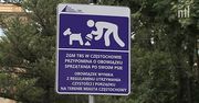 Częstochowa walczy z “niespodziankami” zostawionymi po psach