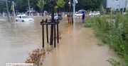 Daejeon pod wodą. Ulice zamieniły się w rwące potoki