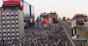 Serce może zakłuć na taki widok. 350 krat piwa rozbitych na niemieckiej autostradzie