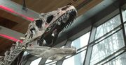 Szkielet dinozaura za miliony euro. Spektakularna aukcja na Wieży Eiffla