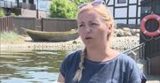 Kolejna martwa foka nad Bałtykiem. Helenka miała zmiażdżoną głowę