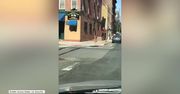 Jelonek na ulicach Hoboken. Zwierzę wyglądało na wyraźnie zdezorientowane