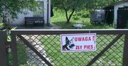 Śledztwo po ataku psa na dzieci. Poprzednia właścicielka twierdzi, że zwierzę reagowało agresją na widok niemowląt