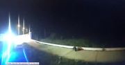 Głowa szopa utknęła w słoiku po maśle orzechowym. Z pomocą ruszyli amerykańcy policjanci