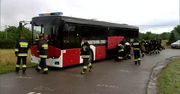80 strażaków szuka pytona tygrysiego nad Wisłą
