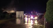 Pożar tartaku w Wielkopolsce. Nocna akcja straży i milionowe straty