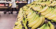 Kolejna partia narkotyków znaleziona w bananach podczas rozładunku.