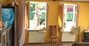 Nie miał prawa jazdy, był pijany, wjechał w dom