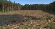 “Las to nie śmietnik” – strażacy i leśnicy ostrzegają przed pożarami