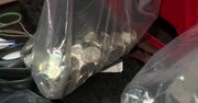 Sąd skazał rodzinę za kradzież pieniędzy z puszek WOŚP
