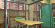 Szpital w Kaliszu odwołał wizyty w ambulatorium, bo do pracy nie stawiła się większość fizjoterapeutów