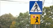 Postawili prywatny fotoradar przy przedszkolu w podwarszawskim Chotomowie. “W cztery dni złapał ponad 20 tys. kierowców”
