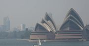 Gęsty dym spowił Sydney. Przyczyną pożary buszu w Nowej Południowej Walii