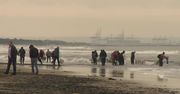 Po sztormie wyruszyli na plaże szukać bursztynu