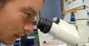 Łódź planuje udoskonalić swój program dofinansowania in vitro