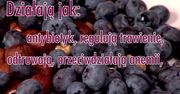 Zaczyna się sezon na pyszne i zdrowe borówki. Jakie mają właściwości?