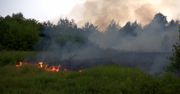 16 zastępów straży pożarnej walczyło z pożarem traw w Łodzi