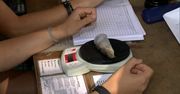 Wielkie obrączkowanie na Podlasiu. Rok temu złapano ponad 10 tys. ptaków
