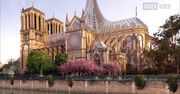 Ogród i szklarnia na dachu katedry Notre-Dame. Belgijski architekt zaprezentował koncepcję odbudowy zabytku