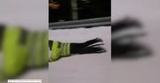 Zjechali na policyjnych tarczach jak na sankach. Zimowe zawody norweskich funkcjonariuszy