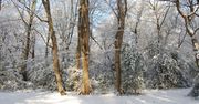 W niedzielę możliwy śnieg