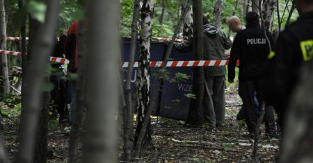 Wrocław. Makabryczne odkrycie motorniczego