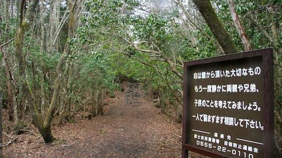 Aokigahara, czyli Las Samobójców, Japonia