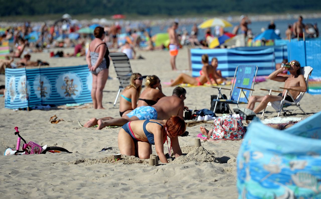 Rottweiler pogryzł dziecko na plaży. Właścicielki psa były agresywne