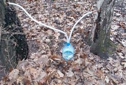 Warszawa. Strażnicy poszukują złodzieja... soku z drzew