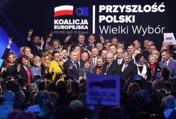 Wybory do Parlamentu Europejskiego 2019. "Cierpliwość Schetyny, konsekwencja Kaczyńskiego (Opinia)