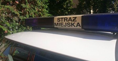 Naga para nakryta w aucie. Mandat jednak nie za seks