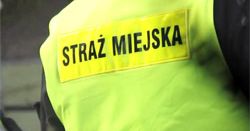 Tak działa straż miejska. Co grozi za złe parkowanie?