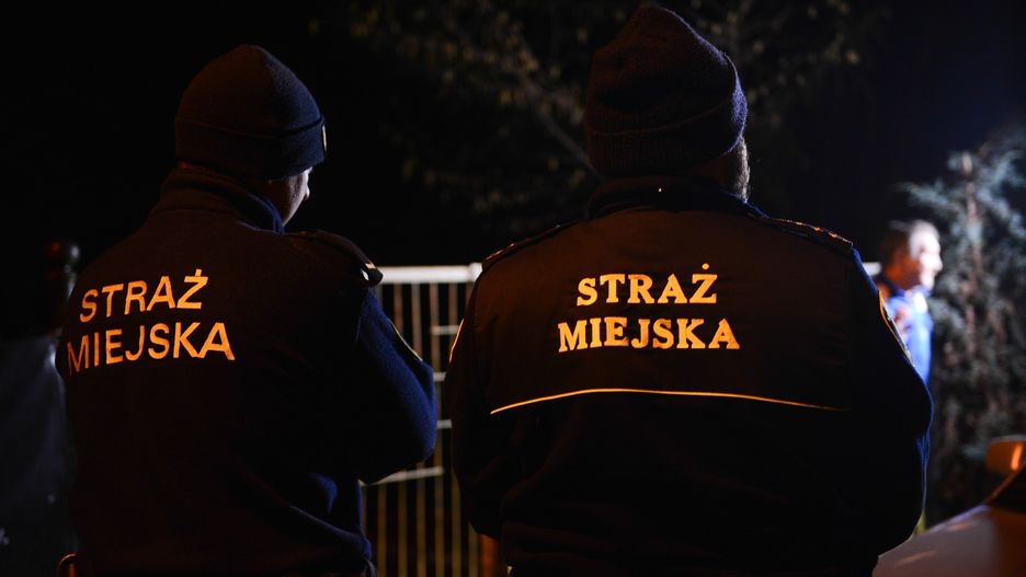 Strażnicy miejscy ukarali sprawcę mandatem