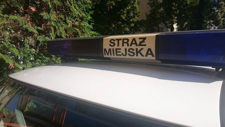 Pary w autach w lesie strażnicy z Łodzi spotykają co kilka dni.